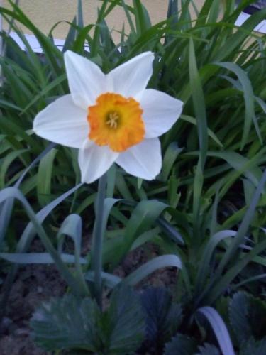 Biohof Koller Biohof Koller