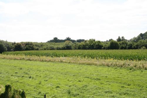 B&B Aalsters genot - image 4