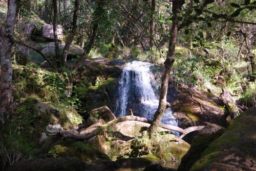 Hotel Carvalho Araujo - main image