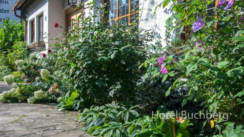Hotel Buchberg in Schönsee, Deutschland