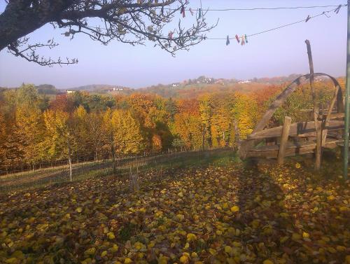 Biohof Koller Biohof Koller