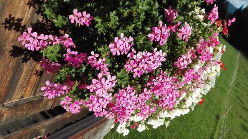 Vorderaltensberg - main image