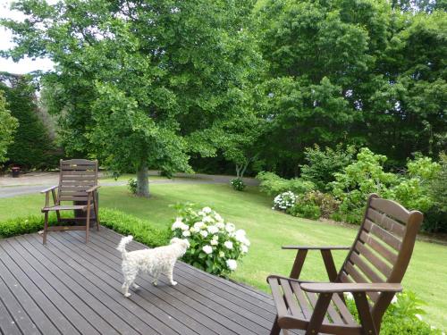 Tranquil Private Rural Retreat in Aongatete