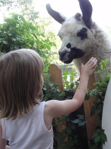 Biohof Koller Biohof Koller