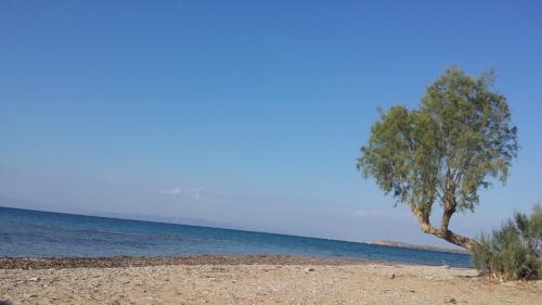  Akrogiali in Skala
