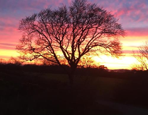 A környék, The Rocks B&B in Templepatrick