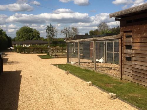 Willow Court Farm Studio South & Petting Farm, 8 mins from Legoland & Windsor, 15 mins from Lapland UK