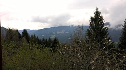 Skats, Rauter in Wöllan (Rauter in Wollan) in Ariaha