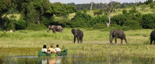 Chobe River Camp