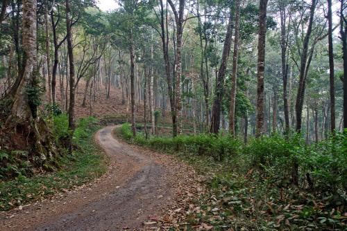 Three Hills Resort Coorg