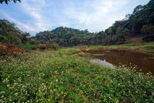 Three Hills Resort Coorg