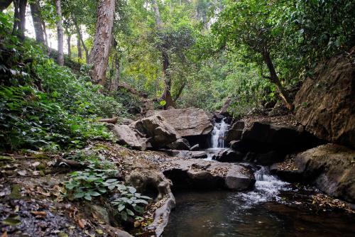 Three Hills Resort Coorg