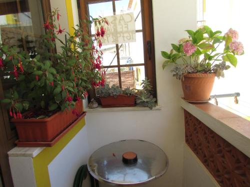ระเบียง/ชานเรือน, Casa Riqueta Silva in บอร์เดย์รา