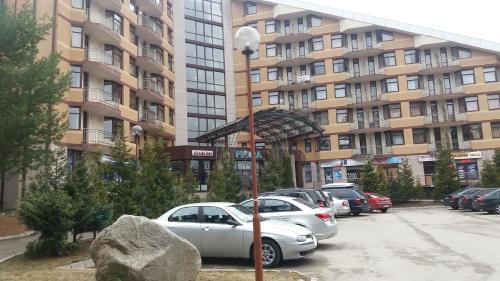 Studio in Hotel Flora Borovets