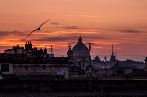 Sant'Ivo Apartments - image 2