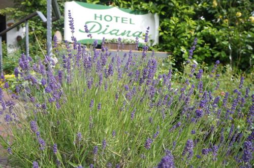 Hotel Diana Garni - image 12