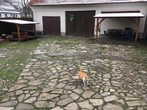 Ubytování v soukromí U Volného