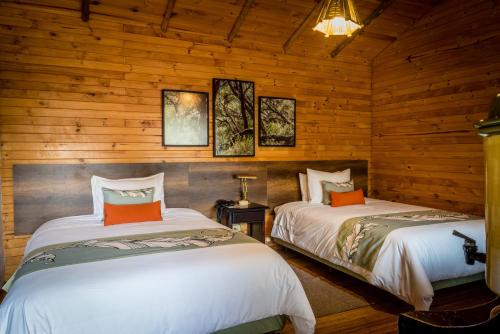 Termas de Papallacta in Papallacta