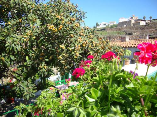  Casa Rural Isabel in Vilaflor