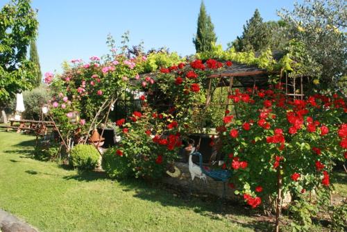 Jade En Provence