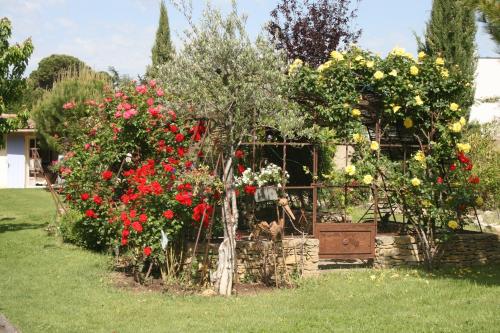 Jade En Provence - image 5