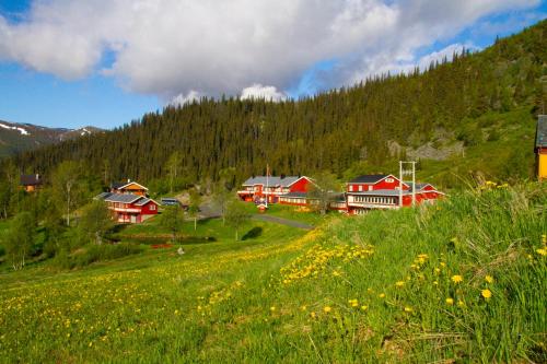 . Grønolen Fjellgard