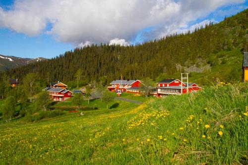 Grønolen Fjellgard - Hotel - Beitostøl