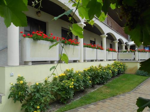 Weingut Gastehaus Palkowitsch – Illmitz, LA