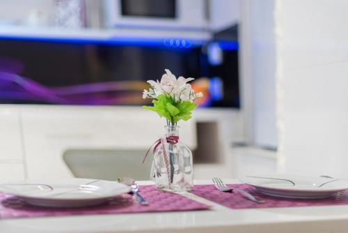 Cute little apartment in the Old town, Split (photo 9)