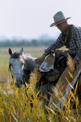 Walter Ranch