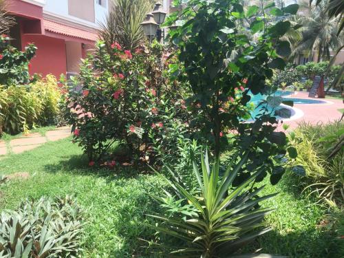 Goa Rentals - Candolim