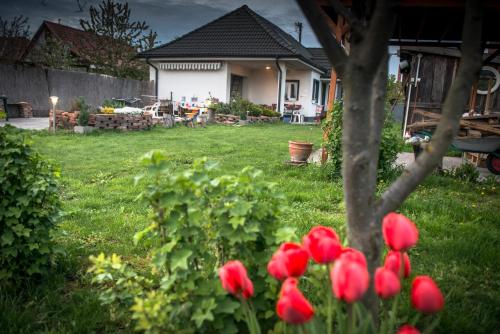. Big Garden House