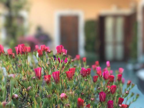 Hotel Piemontese - image 4