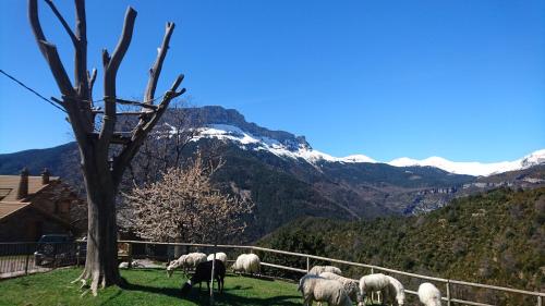 Hotel de Montaña Lamiana