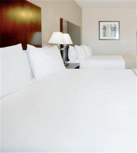 Holiday Inn Express Hotel & Suites Houston NW Beltway 8-West Road, an IHG Hotel