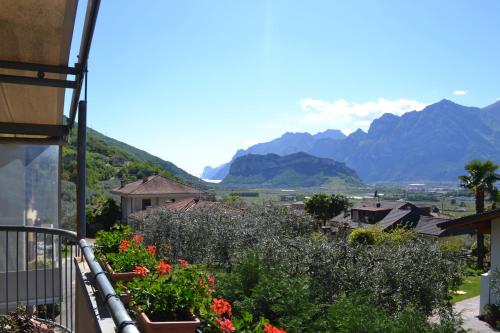 B&B agli Ulivi 2
