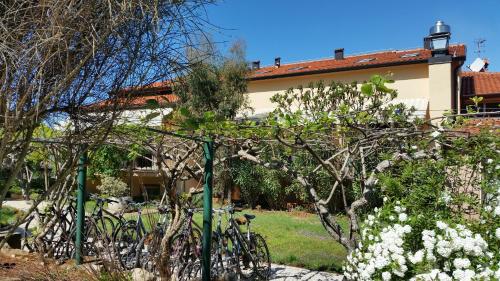 Hotel Zlatna Vala - image 11