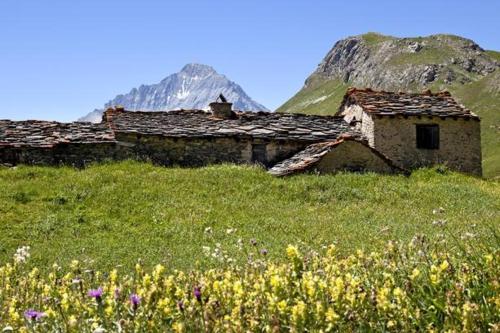 VVF Villages « Le Parc de la Vanoise » Val-Cenis - image 8