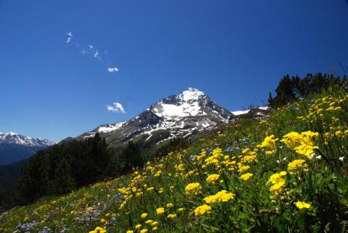 VVF Villages « Le Parc de la Vanoise » Val-Cenis - image 2