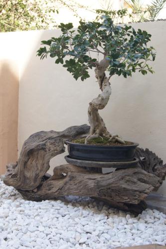 Hostal Nadal - main image