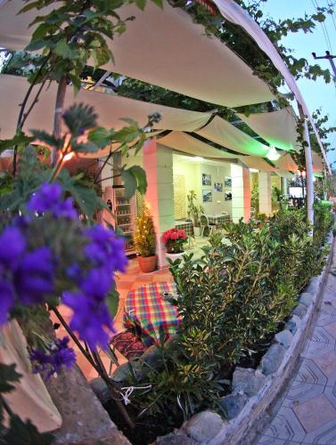 Hotel Dost - image 10