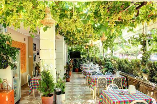 Hotel Dost - image 13