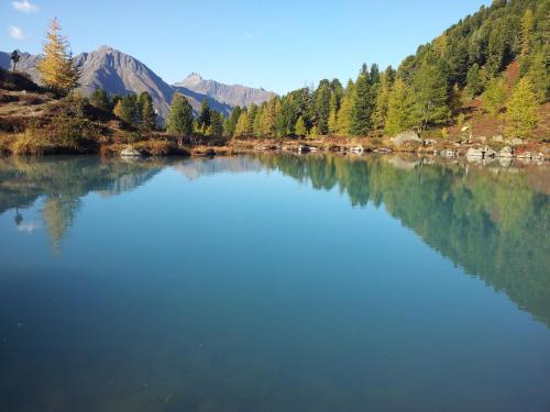 Tischlerei Rudigier Vermietung in Kappl