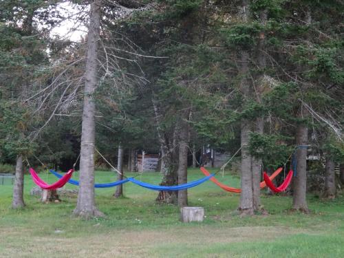 Robert Frost Mountain Cabins