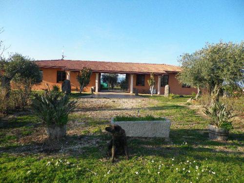 CuccuruAio' B&B 10 minuti da Torregrande in Siamadžiore