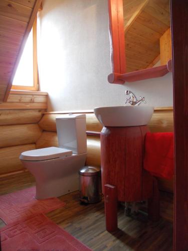 Restaurace a Penzion U Fábů - image 7