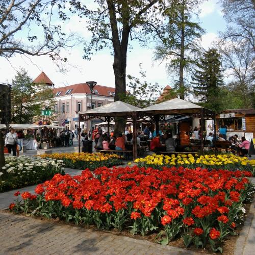 SANTE Hévíz - image 9