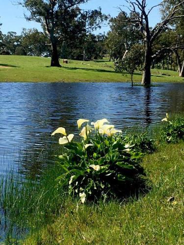 Adelaide Hills Bonney Berg B&B阿德莱德山邦尼伯格住宿加早餐旅馆图片