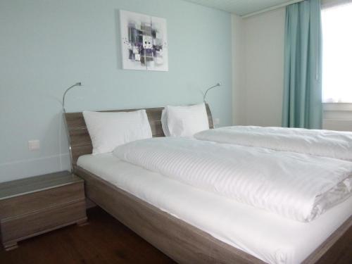 Hotel Metzgern - image 4