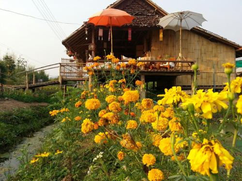 Tulip Resort Pai, Pai